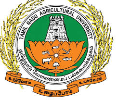 Faculty, Karunya Institute of Technology and Sciences